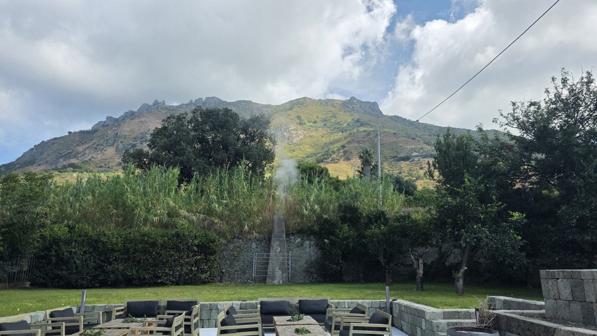 Greenery and the mountain backdrop during our winery visit.