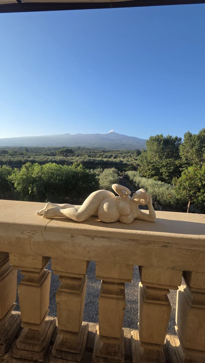 The next morning’s view from the property.