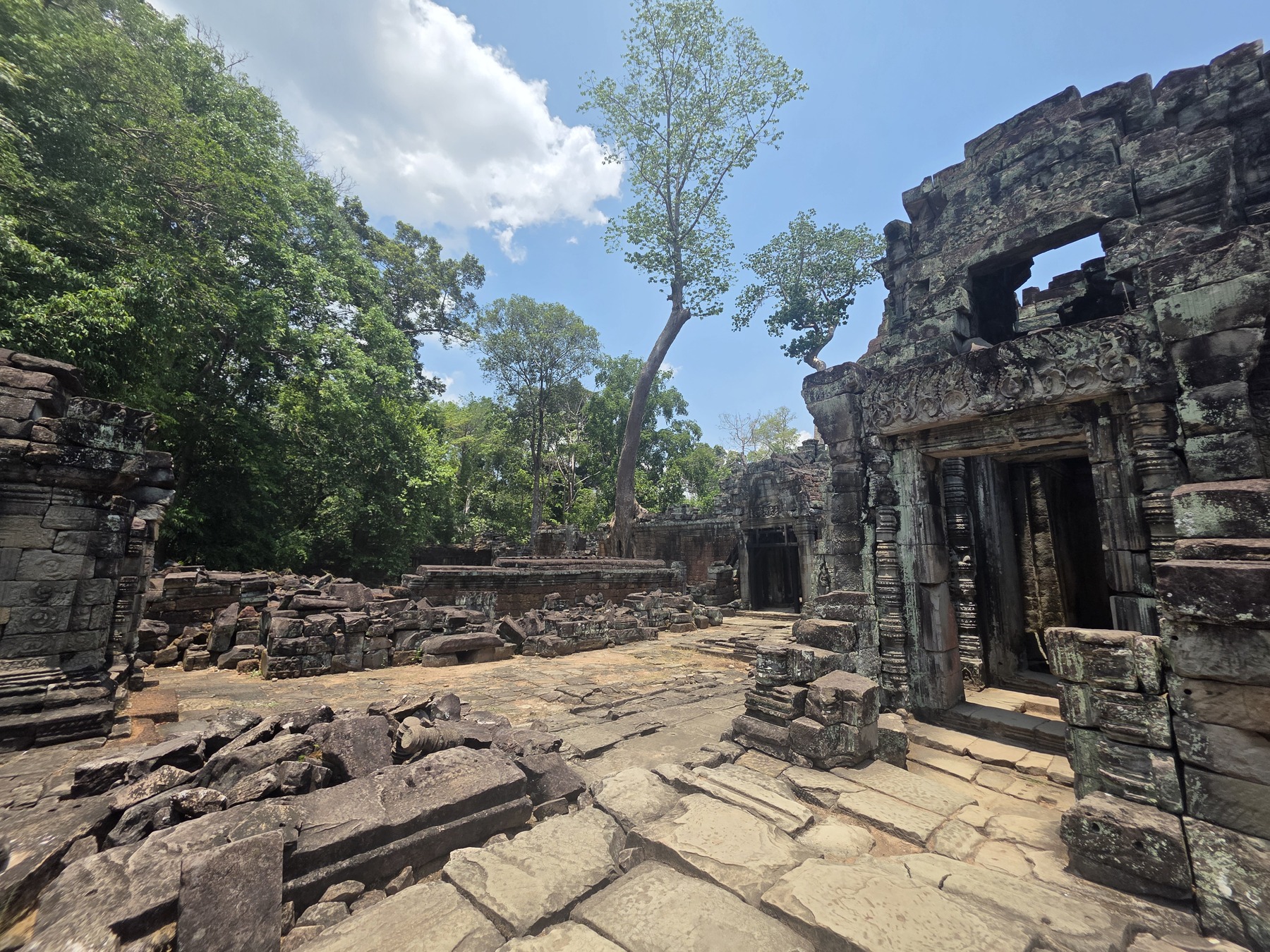 Angkor temple ruins surrounded by jungle