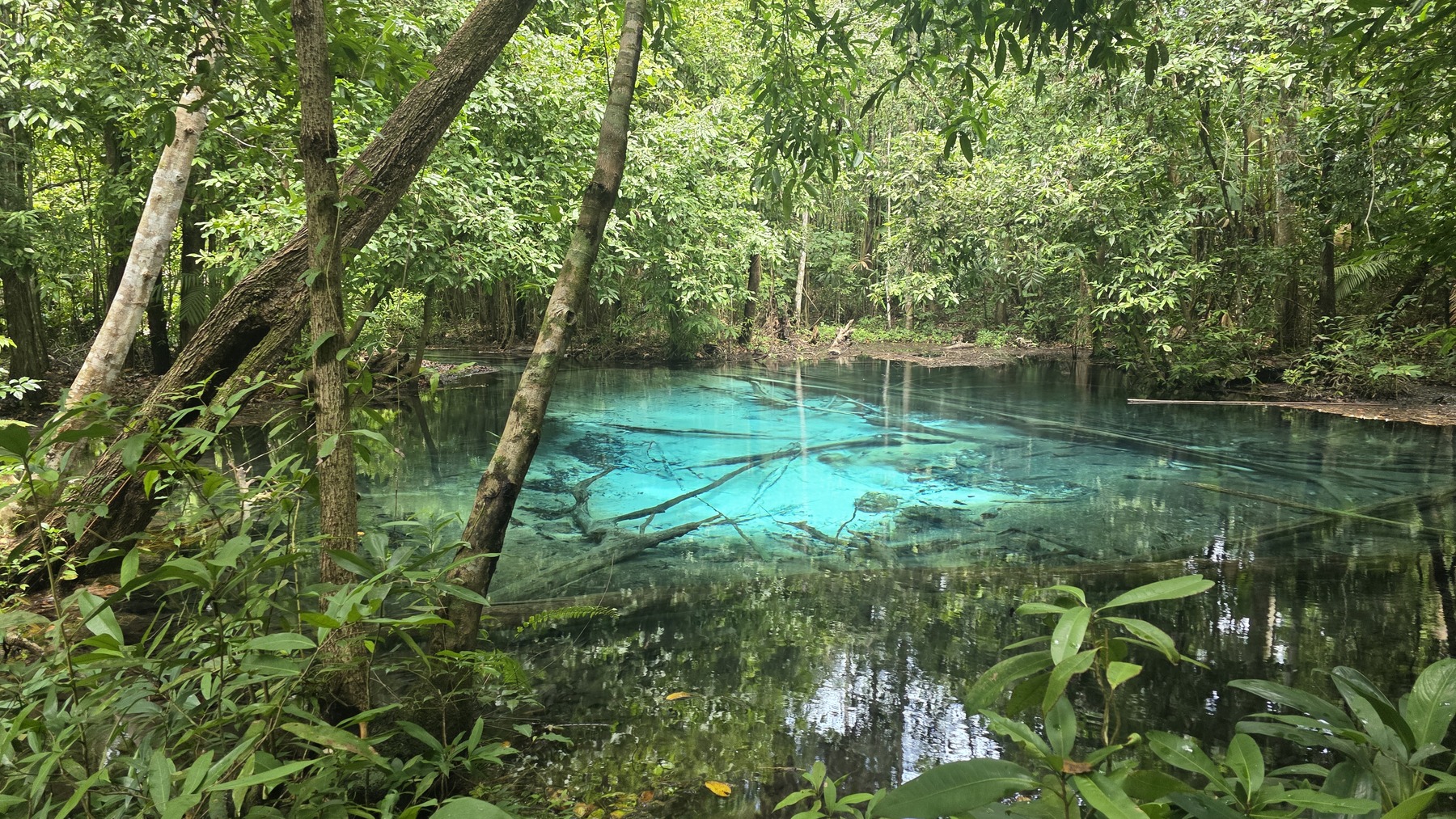 Emerald Pool