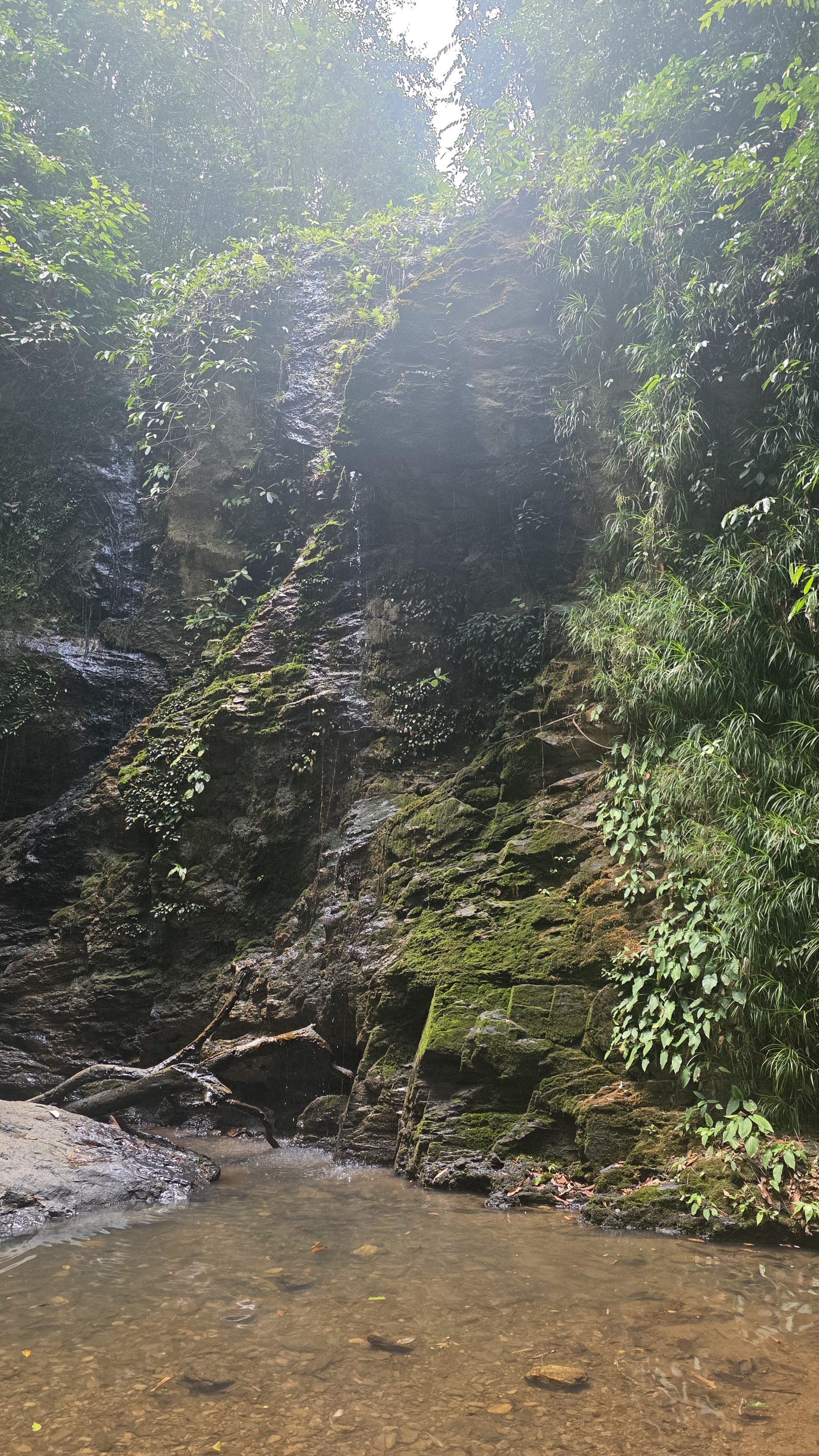 Jungle waterfall on Koh Lanta