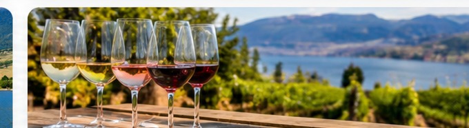 West Kelowna Half-Day Guided Wine Tour