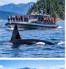 Hot Springs Cove Tour with Wildlife Cruise